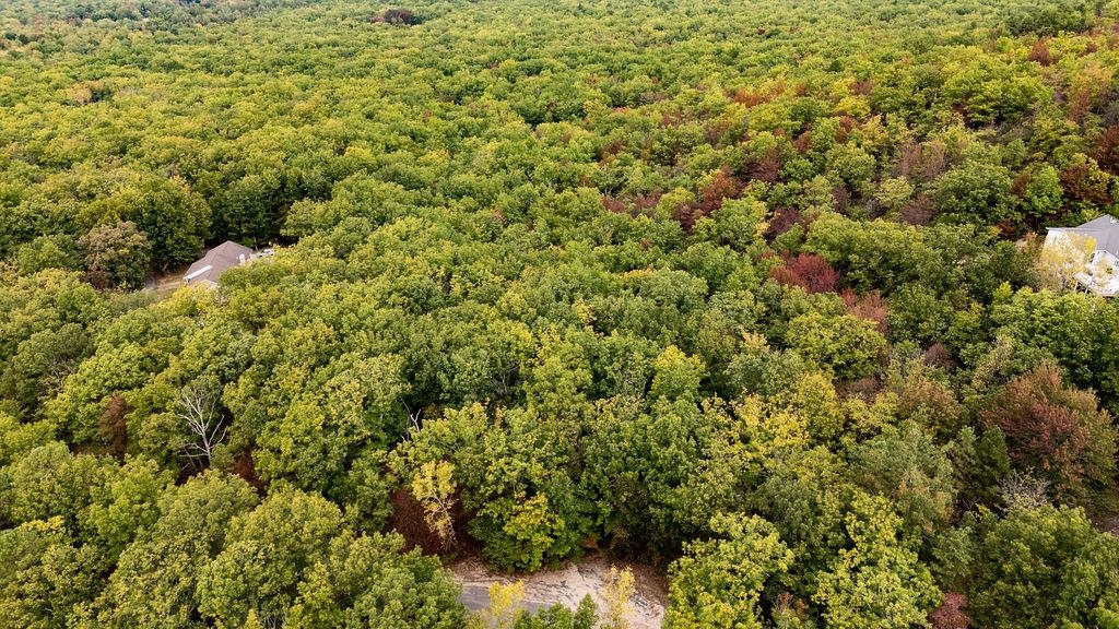 TBD MOUNTAIN RIDGE LN, WAYNESBORO, Virginia 22980, ,Land,TBD MOUNTAIN RIDGE LN,669630 MLS # 669630