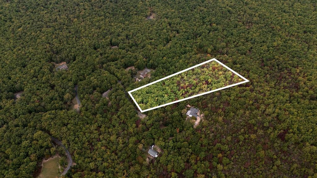 TBD MOUNTAIN RIDGE LN, WAYNESBORO, Virginia 22980, ,Land,TBD MOUNTAIN RIDGE LN,669630 MLS # 669630