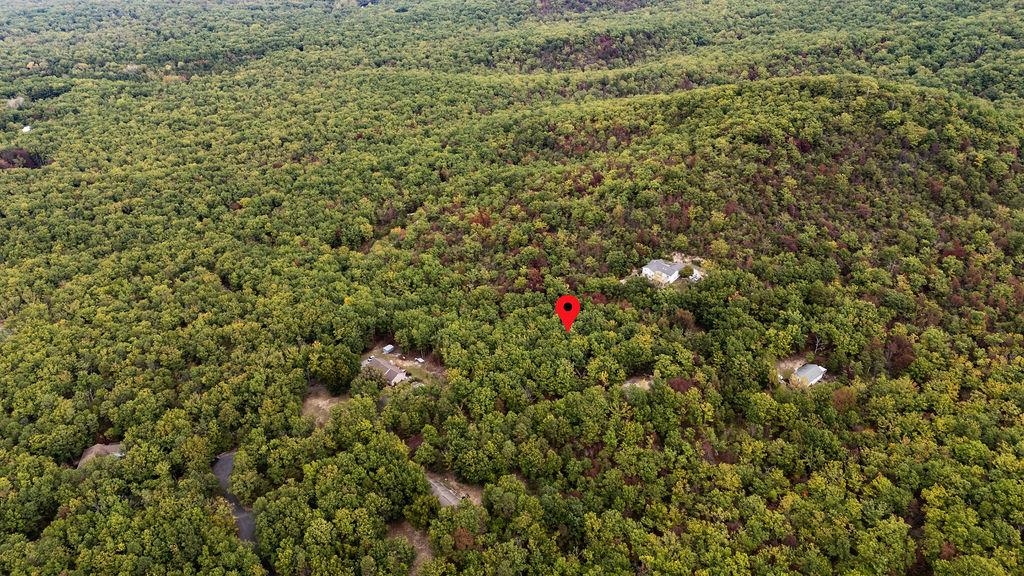 TBD MOUNTAIN RIDGE LN, WAYNESBORO, Virginia 22980, ,Land,TBD MOUNTAIN RIDGE LN,669630 MLS # 669630