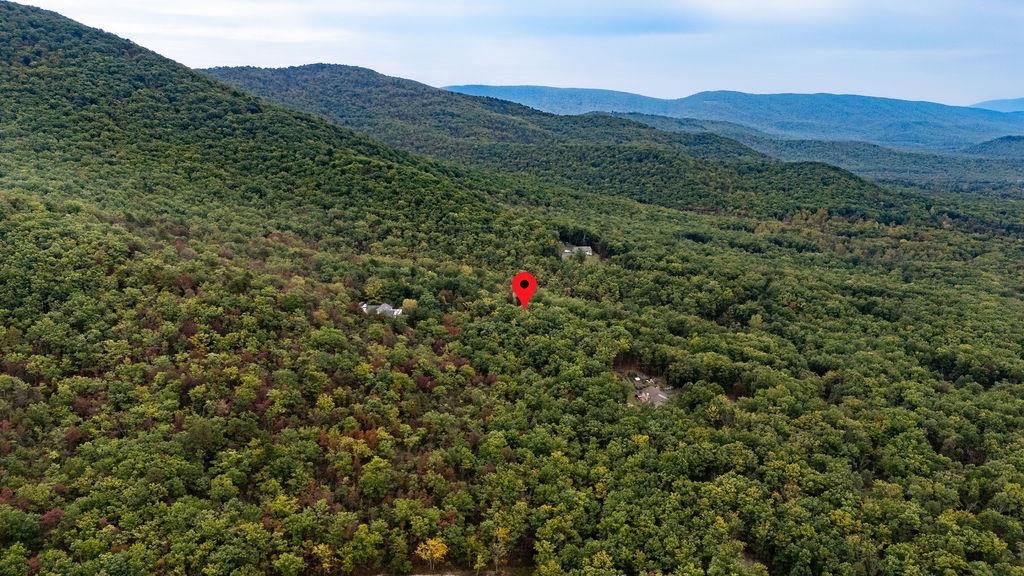 TBD MOUNTAIN RIDGE LN, WAYNESBORO, Virginia 22980, ,Land,TBD MOUNTAIN RIDGE LN,669630 MLS # 669630