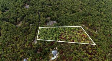 TBD MOUNTAIN RIDGE LN, WAYNESBORO, Virginia 22980, ,Land,TBD MOUNTAIN RIDGE LN,669630 MLS # 669630