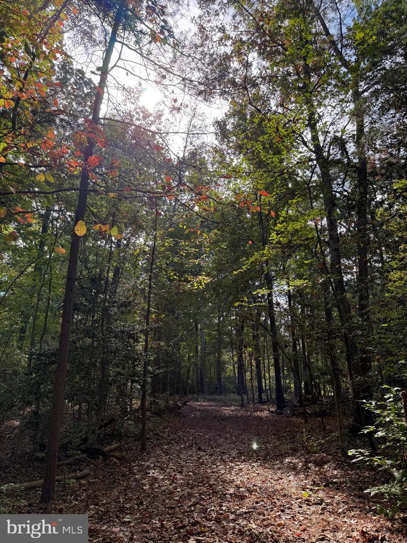 LOT 28 TURKEY TRAIL, LOUISA, Virginia 23093, ,Land,For sale,LOT 28 TURKEY TRAIL,VALA2008670 MLS # VALA2008670