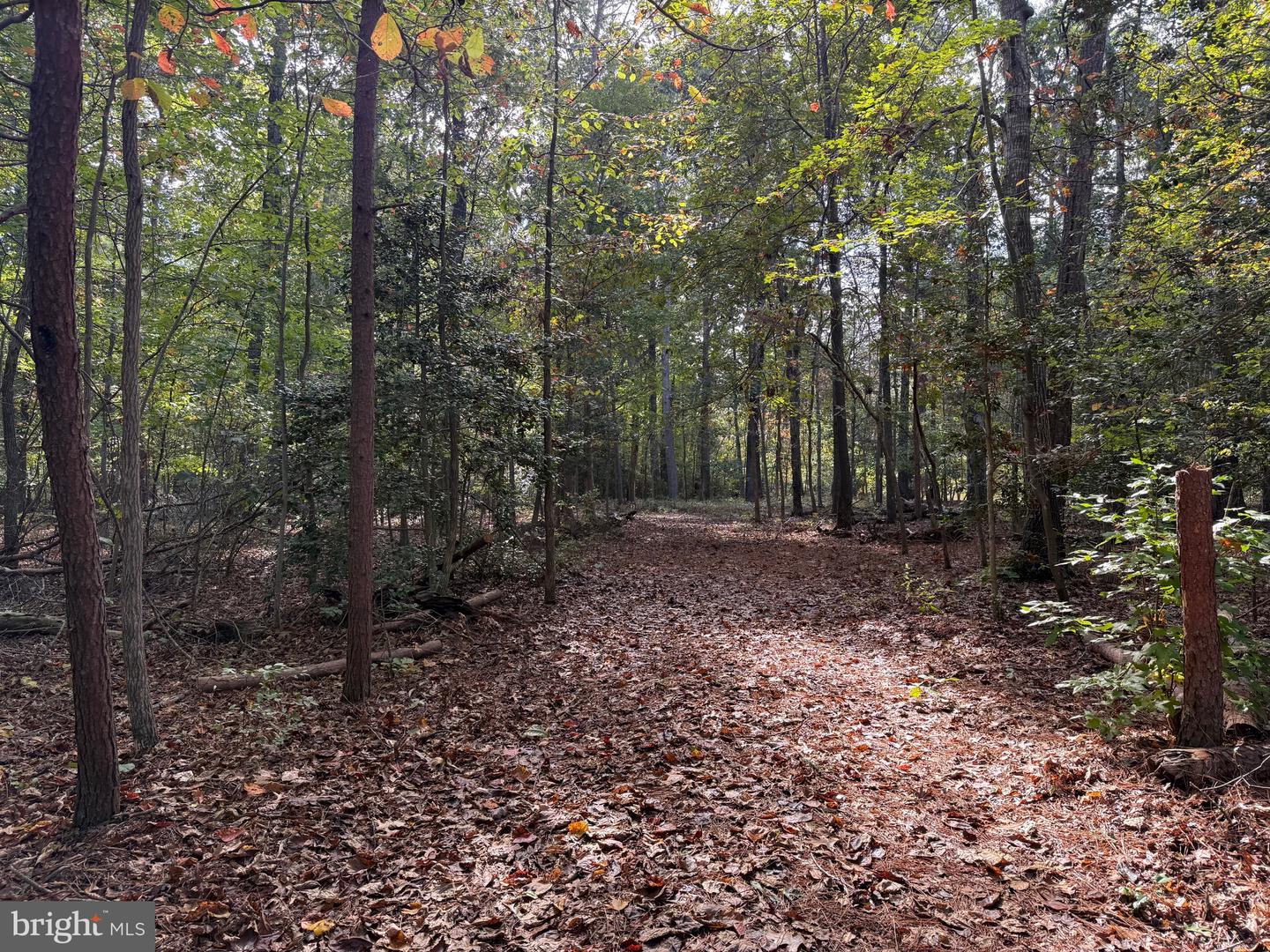 LOT 28 TURKEY TRAIL, LOUISA, Virginia 23093, ,Land,For sale,LOT 28 TURKEY TRAIL,VALA2008670 MLS # VALA2008670