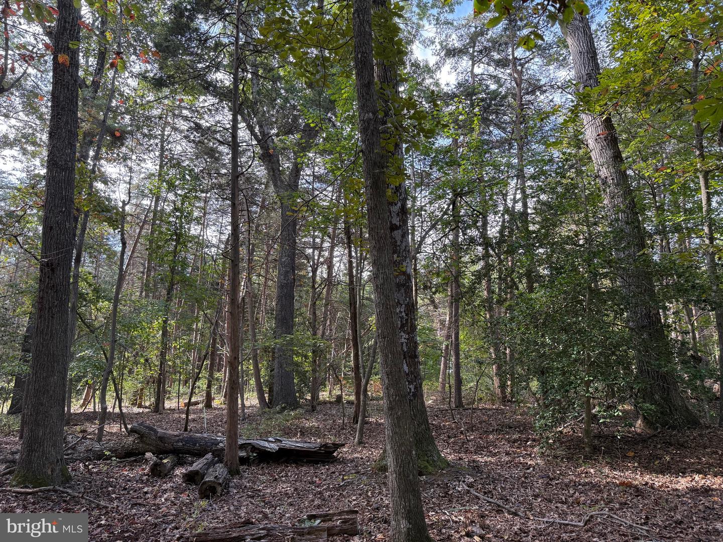 LOT 28 TURKEY TRAIL, LOUISA, Virginia 23093, ,Land,For sale,LOT 28 TURKEY TRAIL,VALA2008670 MLS # VALA2008670