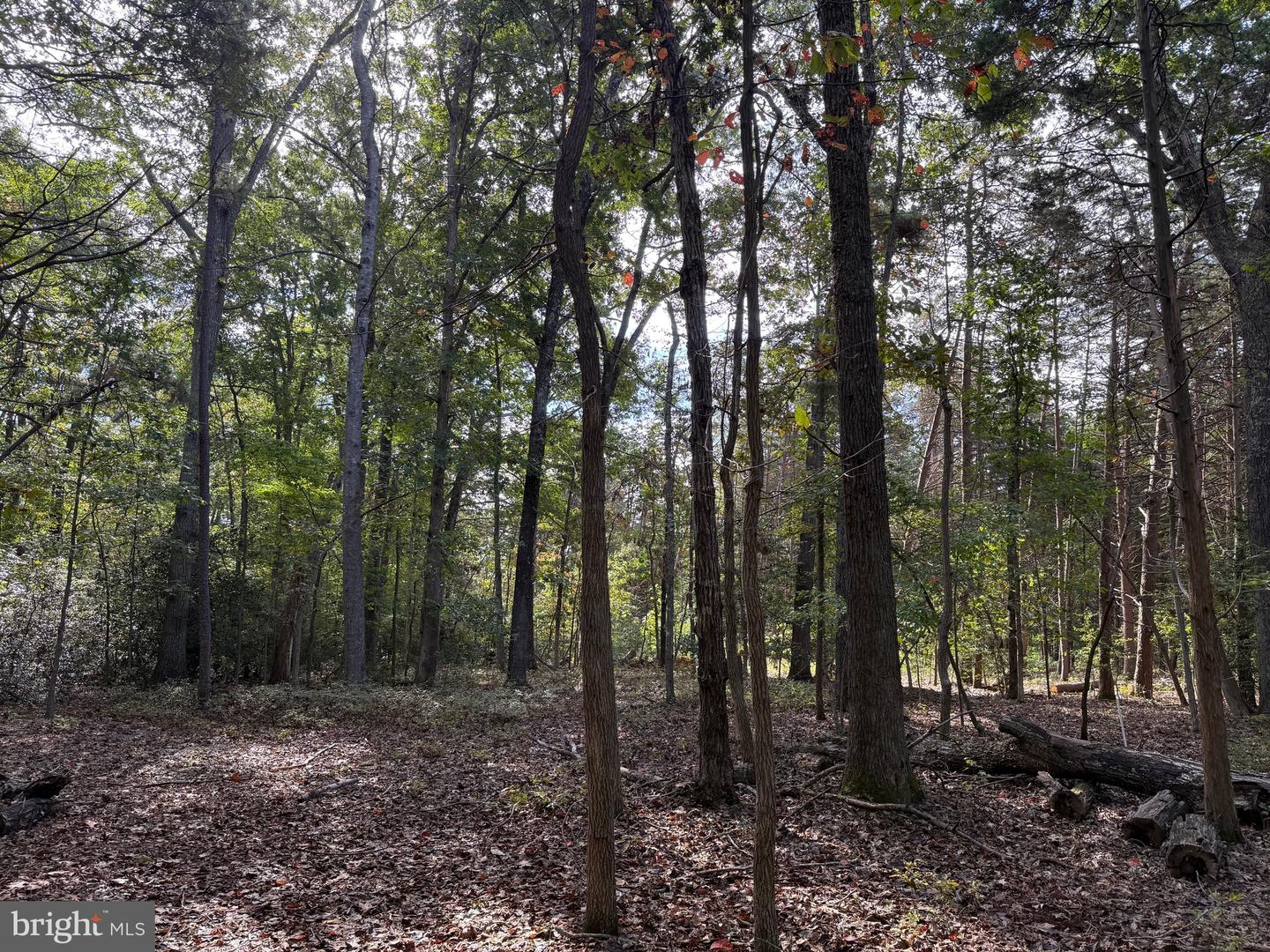 LOT 28 TURKEY TRAIL, LOUISA, Virginia 23093, ,Land,For sale,LOT 28 TURKEY TRAIL,VALA2008670 MLS # VALA2008670