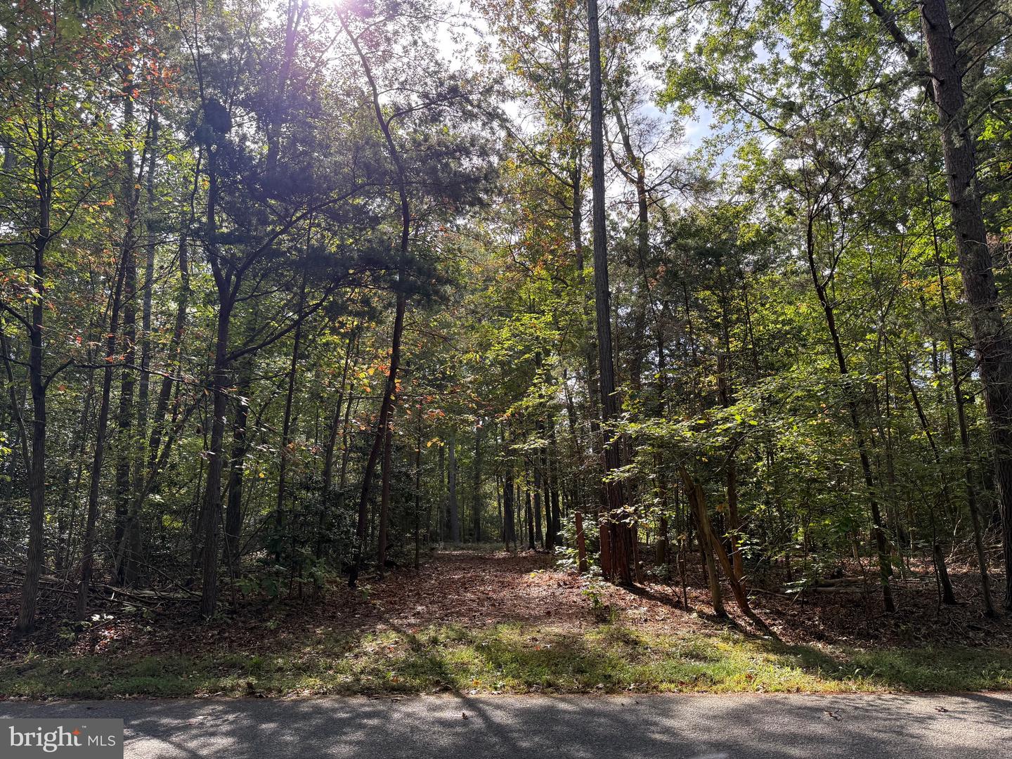 LOT 28 TURKEY TRAIL, LOUISA, Virginia 23093, ,Land,For sale,LOT 28 TURKEY TRAIL,VALA2008670 MLS # VALA2008670