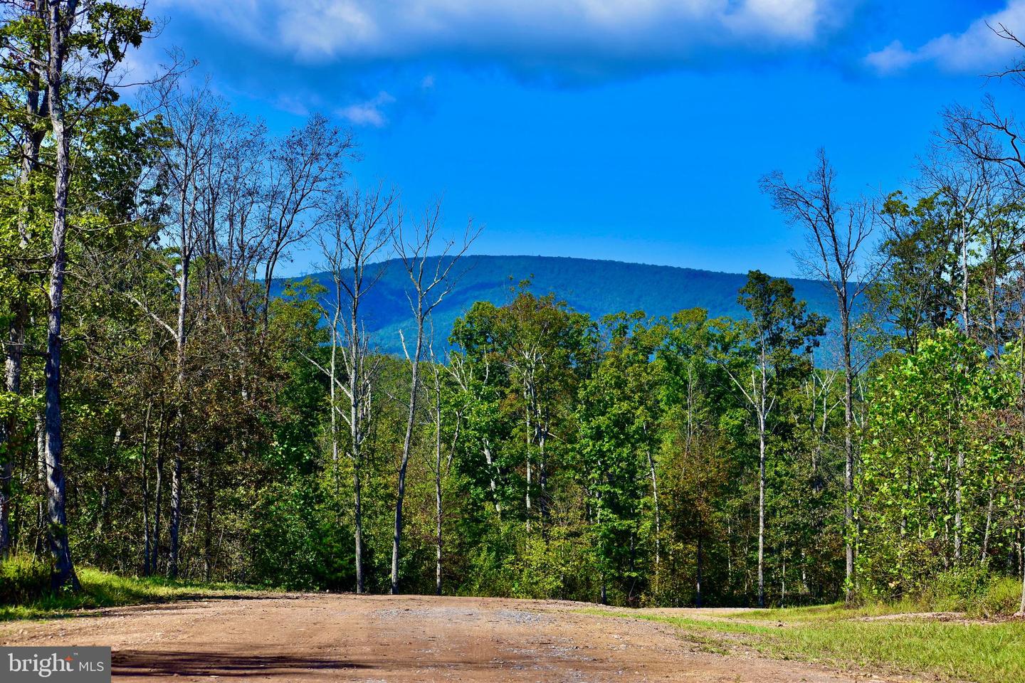 158.5 ACRES LOT 3 LAUREL GROVE RD., WINCHESTER, Virginia 22602, ,Farm,For sale,158.5 ACRES LOT 3 LAUREL GROVE RD.,VAFV2037192 MLS # VAFV2037192