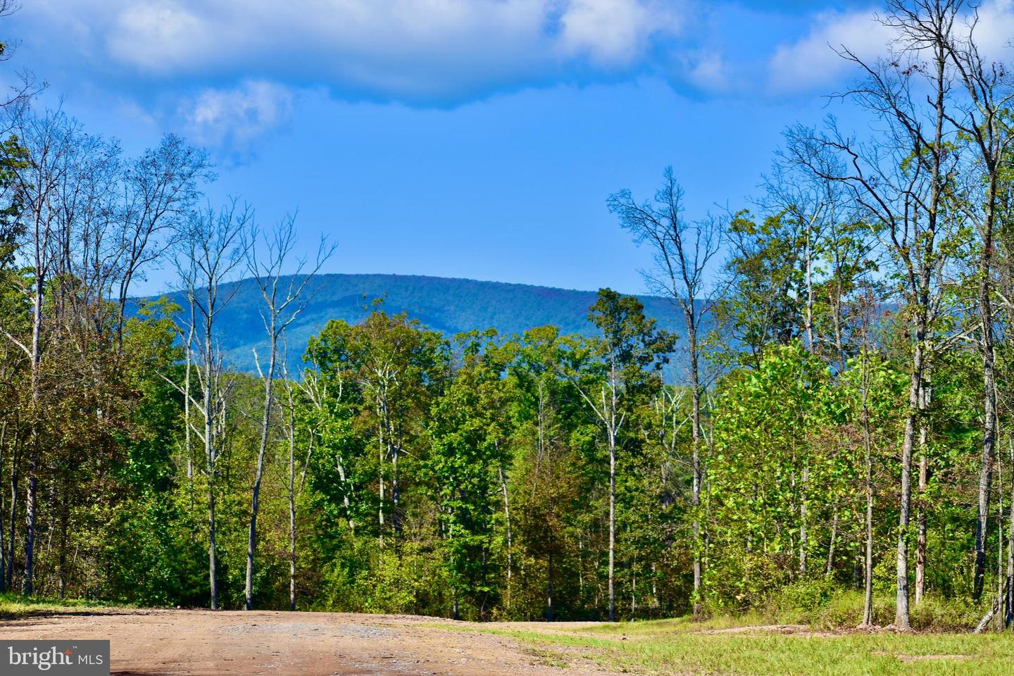 158.5 ACRES LOT 3 LAUREL GROVE RD., WINCHESTER, Virginia 22602, ,Farm,For sale,158.5 ACRES LOT 3 LAUREL GROVE RD.,VAFV2037192 MLS # VAFV2037192