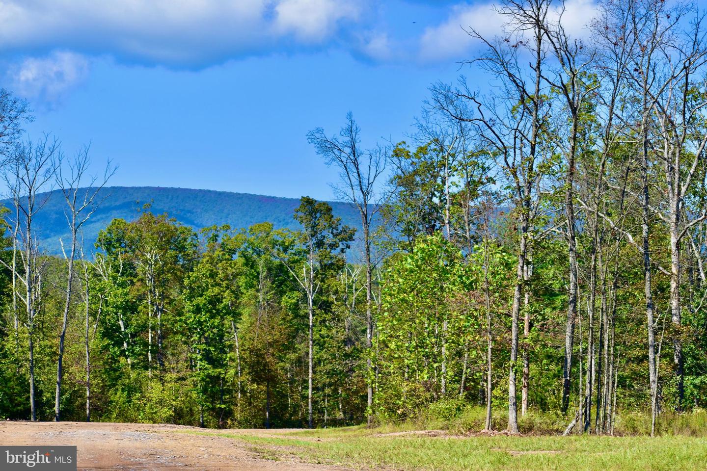 158.5 ACRES LOT 3 LAUREL GROVE RD., WINCHESTER, Virginia 22602, ,Farm,For sale,158.5 ACRES LOT 3 LAUREL GROVE RD.,VAFV2037192 MLS # VAFV2037192