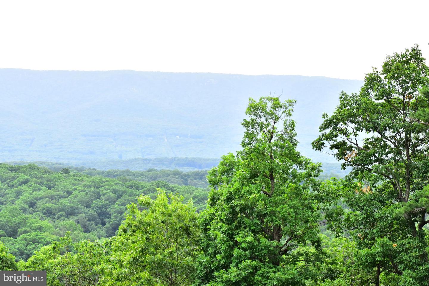158.5 ACRES LOT 3 LAUREL GROVE RD., WINCHESTER, Virginia 22602, ,Farm,For sale,158.5 ACRES LOT 3 LAUREL GROVE RD.,VAFV2037192 MLS # VAFV2037192