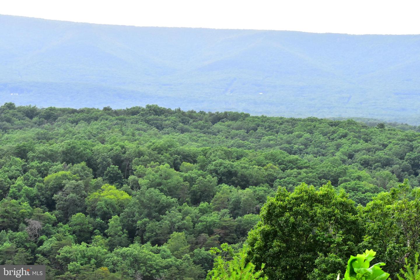 158.5 ACRES LOT 3 LAUREL GROVE RD., WINCHESTER, Virginia 22602, ,Farm,For sale,158.5 ACRES LOT 3 LAUREL GROVE RD.,VAFV2037192 MLS # VAFV2037192