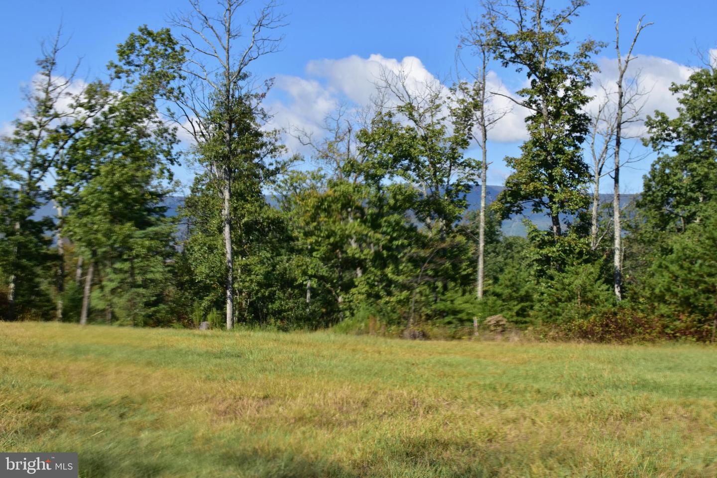 158.5 ACRES LOT 3 LAUREL GROVE RD., WINCHESTER, Virginia 22602, ,Farm,For sale,158.5 ACRES LOT 3 LAUREL GROVE RD.,VAFV2037192 MLS # VAFV2037192