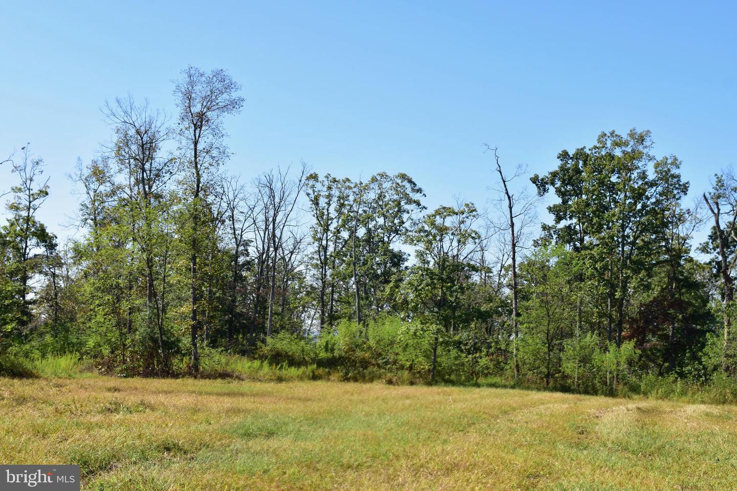 158.5 ACRES LOT 3 LAUREL GROVE RD., WINCHESTER, Virginia 22602, ,Farm,For sale,158.5 ACRES LOT 3 LAUREL GROVE RD.,VAFV2037192 MLS # VAFV2037192