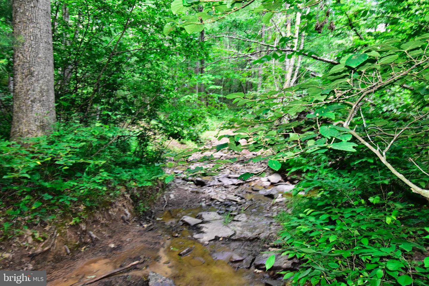 158.5 ACRES LOT 3 LAUREL GROVE RD., WINCHESTER, Virginia 22602, ,Farm,For sale,158.5 ACRES LOT 3 LAUREL GROVE RD.,VAFV2037192 MLS # VAFV2037192