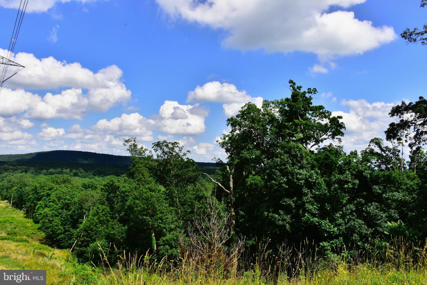 158.5 ACRES LOT 3 LAUREL GROVE RD., WINCHESTER, Virginia 22602, ,Farm,For sale,158.5 ACRES LOT 3 LAUREL GROVE RD.,VAFV2037192 MLS # VAFV2037192