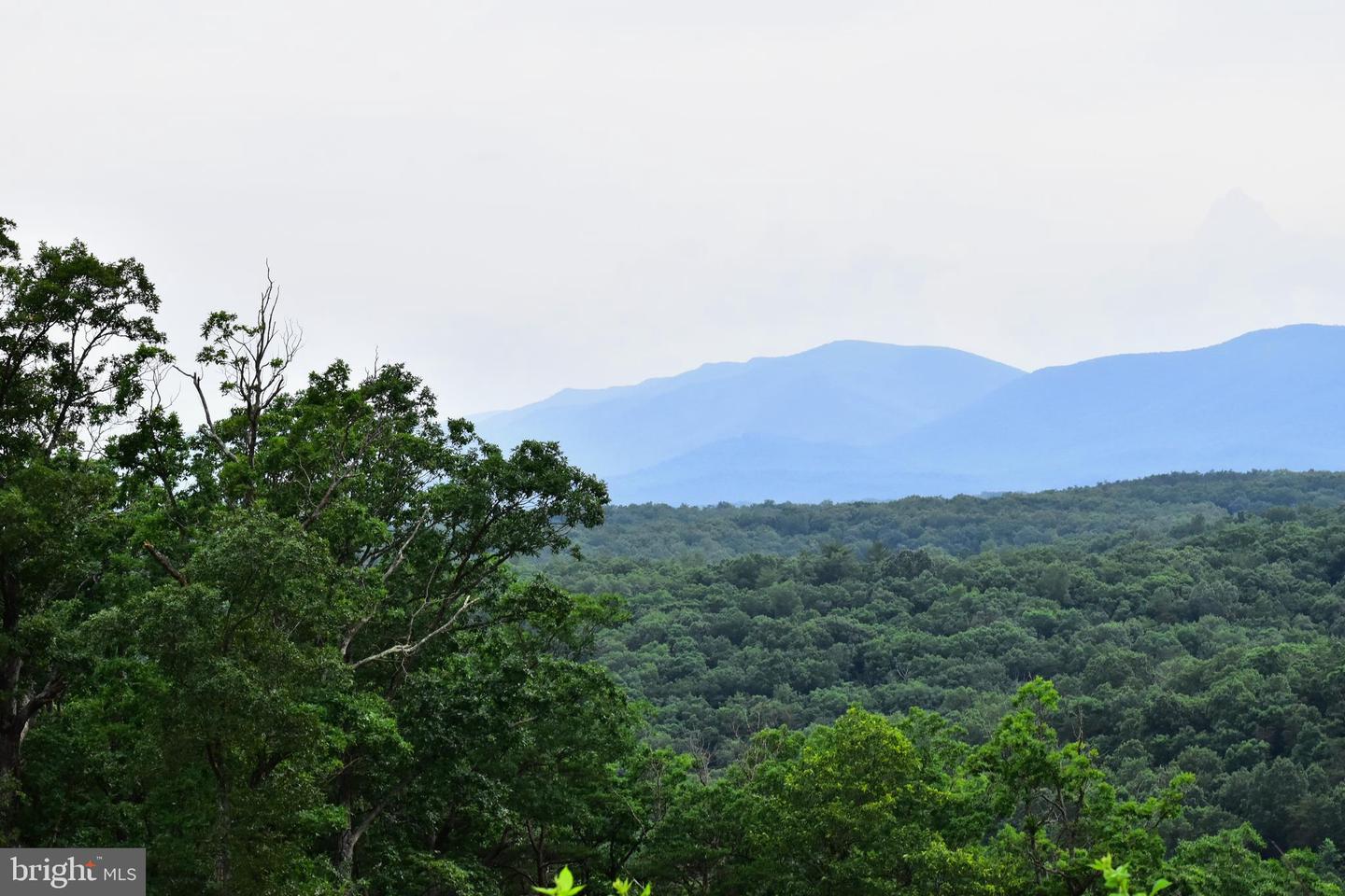 158.5 ACRES LOT 3 LAUREL GROVE RD., WINCHESTER, Virginia 22602, ,Farm,For sale,158.5 ACRES LOT 3 LAUREL GROVE RD.,VAFV2037192 MLS # VAFV2037192