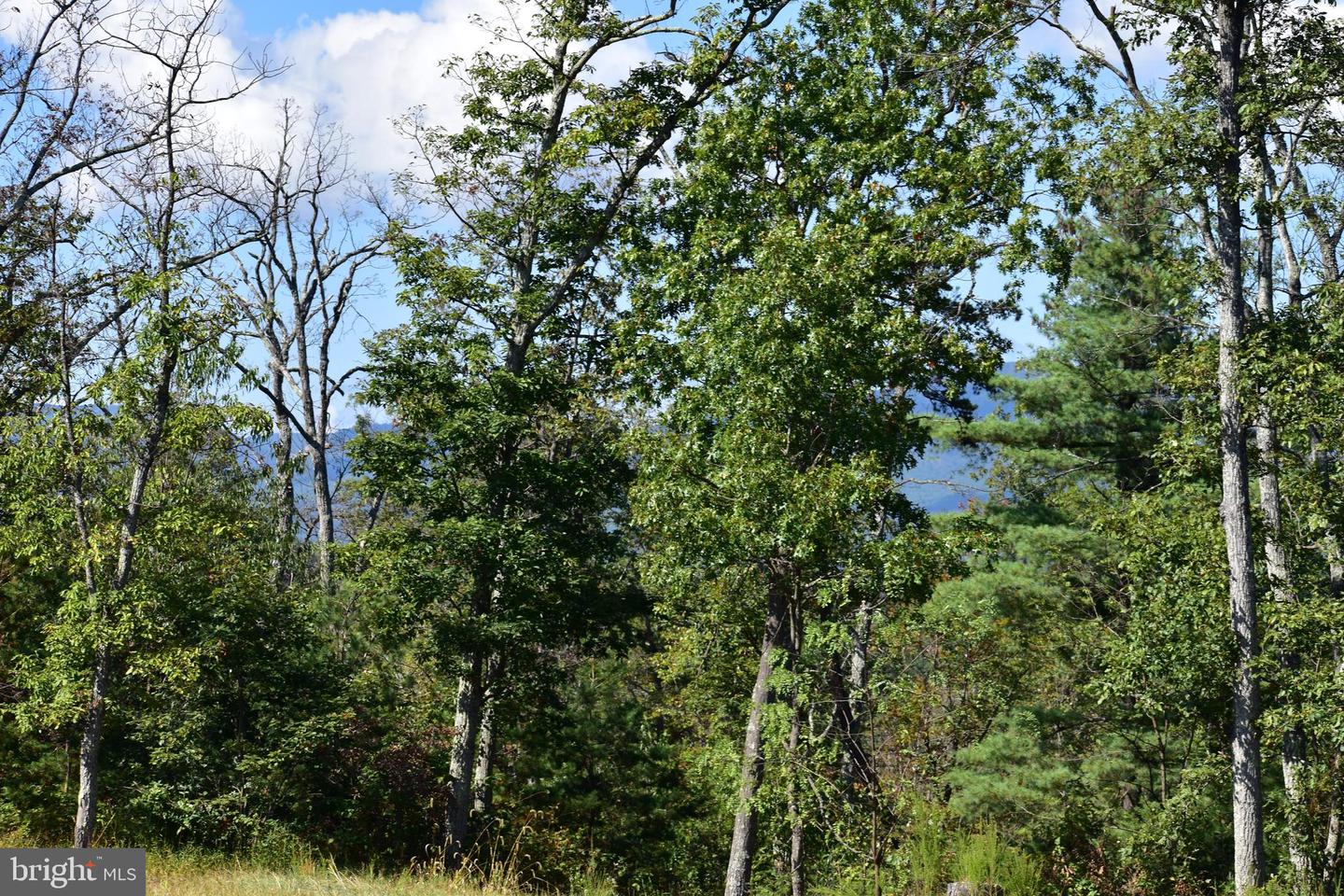 158.5 ACRES LOT 3 LAUREL GROVE RD., WINCHESTER, Virginia 22602, ,Farm,For sale,158.5 ACRES LOT 3 LAUREL GROVE RD.,VAFV2037192 MLS # VAFV2037192