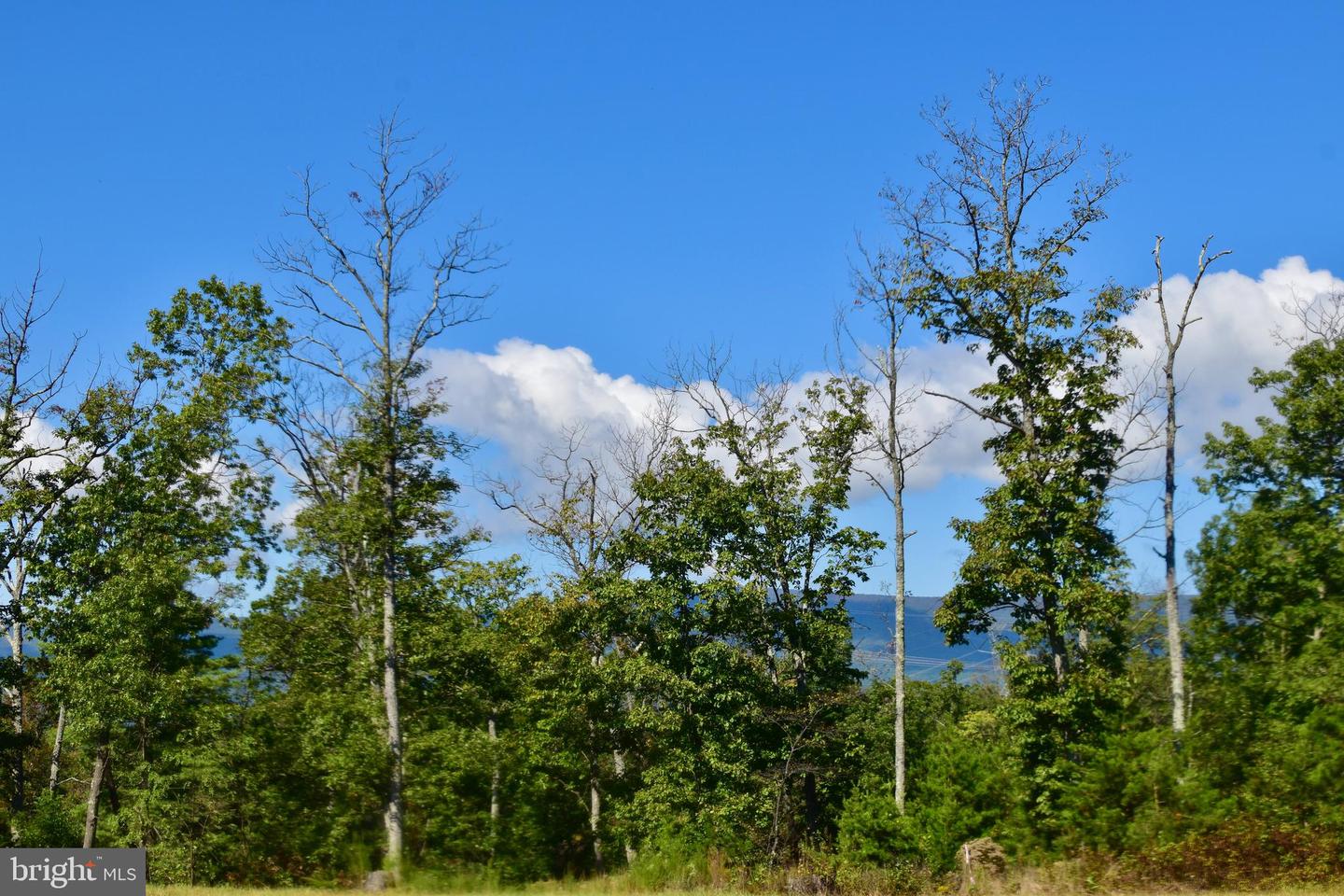 158.5 ACRES LOT 3 LAUREL GROVE RD., WINCHESTER, Virginia 22602, ,Farm,For sale,158.5 ACRES LOT 3 LAUREL GROVE RD.,VAFV2037192 MLS # VAFV2037192