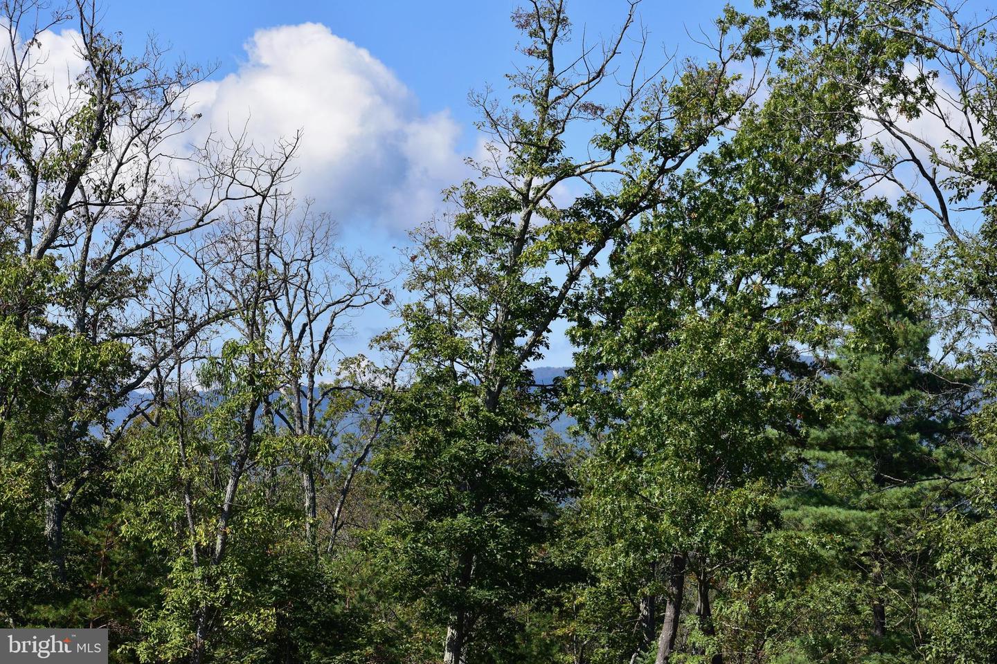 158.5 ACRES LOT 3 LAUREL GROVE RD., WINCHESTER, Virginia 22602, ,Farm,For sale,158.5 ACRES LOT 3 LAUREL GROVE RD.,VAFV2037192 MLS # VAFV2037192