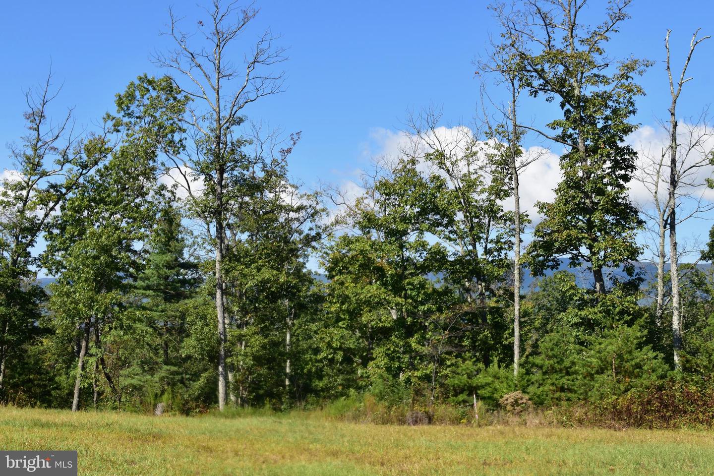 158.5 ACRES LOT 3 LAUREL GROVE RD., WINCHESTER, Virginia 22602, ,Farm,For sale,158.5 ACRES LOT 3 LAUREL GROVE RD.,VAFV2037192 MLS # VAFV2037192
