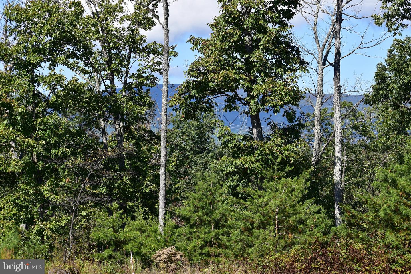 158.5 ACRES LOT 3 LAUREL GROVE RD., WINCHESTER, Virginia 22602, ,Farm,For sale,158.5 ACRES LOT 3 LAUREL GROVE RD.,VAFV2037192 MLS # VAFV2037192