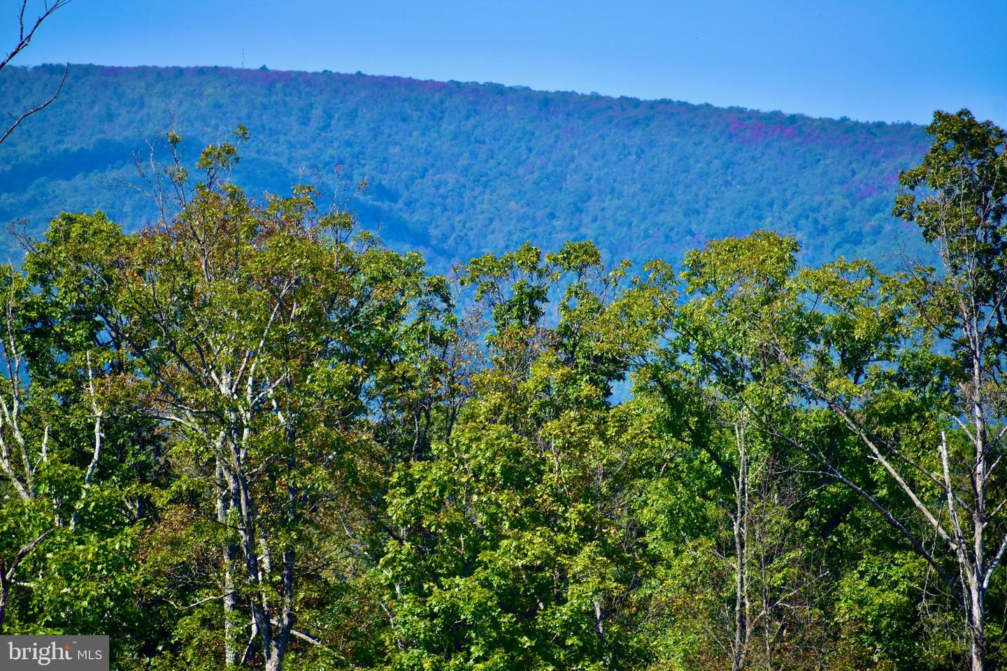 158.5 ACRES LOT 3 LAUREL GROVE RD., WINCHESTER, Virginia 22602, ,Farm,For sale,158.5 ACRES LOT 3 LAUREL GROVE RD.,VAFV2037192 MLS # VAFV2037192