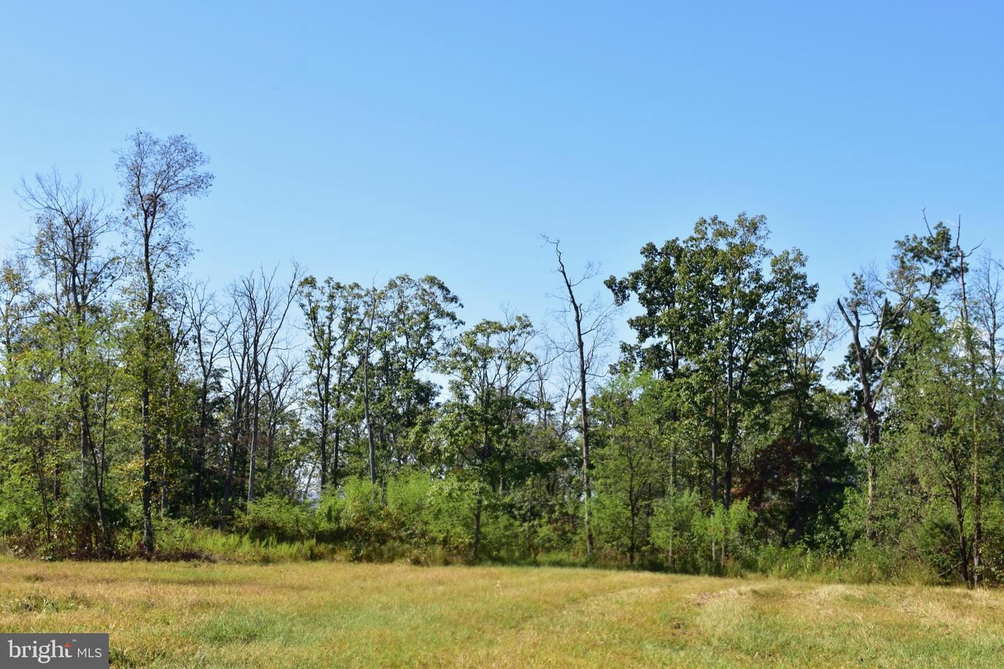 158.5 ACRES LOT 3 LAUREL GROVE RD., WINCHESTER, Virginia 22602, ,Farm,For sale,158.5 ACRES LOT 3 LAUREL GROVE RD.,VAFV2037192 MLS # VAFV2037192
