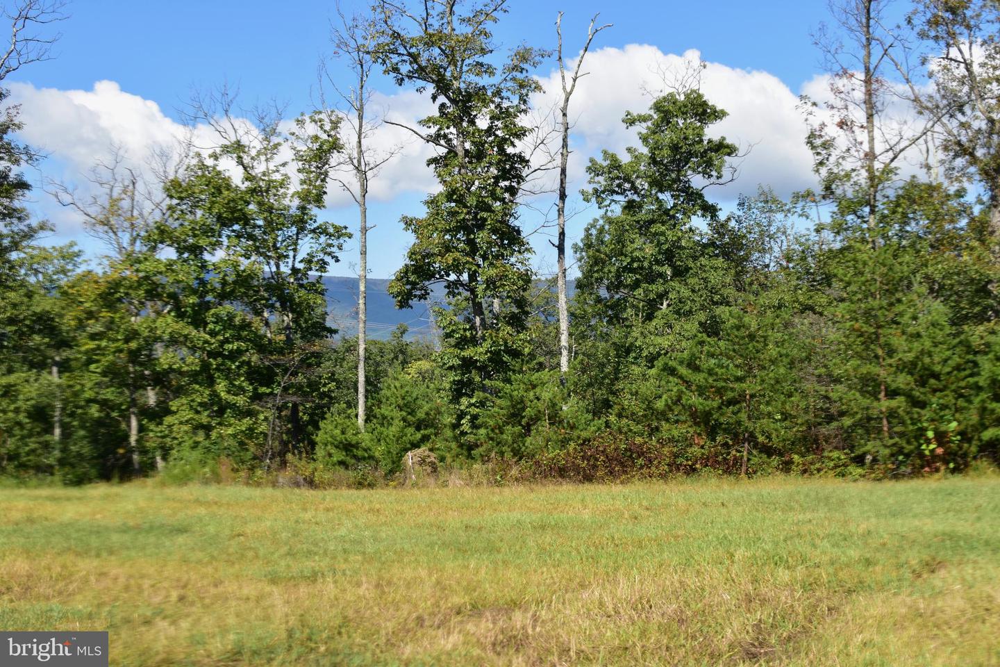 158.5 ACRES LOT 3 LAUREL GROVE RD., WINCHESTER, Virginia 22602, ,Farm,For sale,158.5 ACRES LOT 3 LAUREL GROVE RD.,VAFV2037192 MLS # VAFV2037192