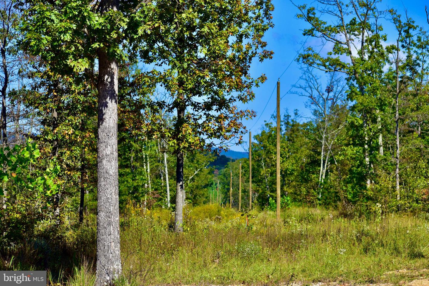 158.5 ACRES LOT 3 LAUREL GROVE RD., WINCHESTER, Virginia 22602, ,Farm,For sale,158.5 ACRES LOT 3 LAUREL GROVE RD.,VAFV2037192 MLS # VAFV2037192