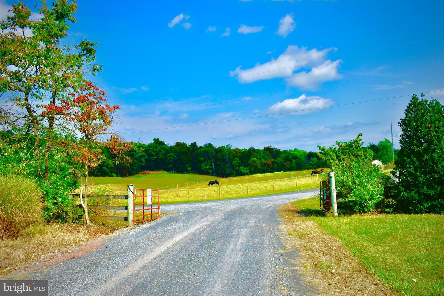 158.5 ACRES LOT 3 LAUREL GROVE RD., WINCHESTER, Virginia 22602, ,Farm,For sale,158.5 ACRES LOT 3 LAUREL GROVE RD.,VAFV2037192 MLS # VAFV2037192