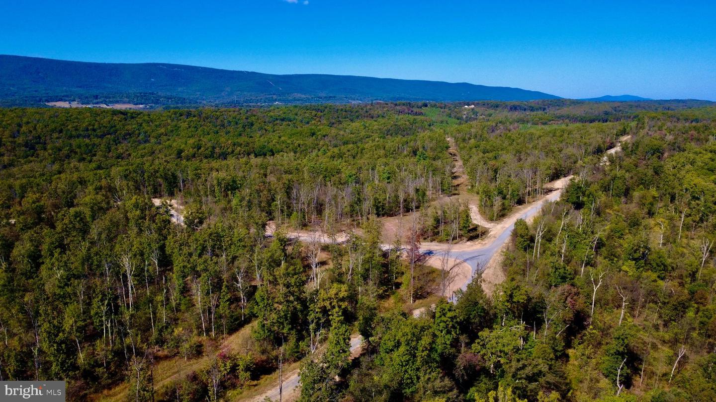 158.5 ACRES LOT 3 LAUREL GROVE RD., WINCHESTER, Virginia 22602, ,Farm,For sale,158.5 ACRES LOT 3 LAUREL GROVE RD.,VAFV2037192 MLS # VAFV2037192 158.5 ACRES LOT 3 LAUREL GROVE RD., WINCHESTER, Virginia 22602, ,Farm,For sale,158.5 ACRES LOT 3 LAUREL GROVE RD.,VAFV2037192 MLS # VAFV2037192