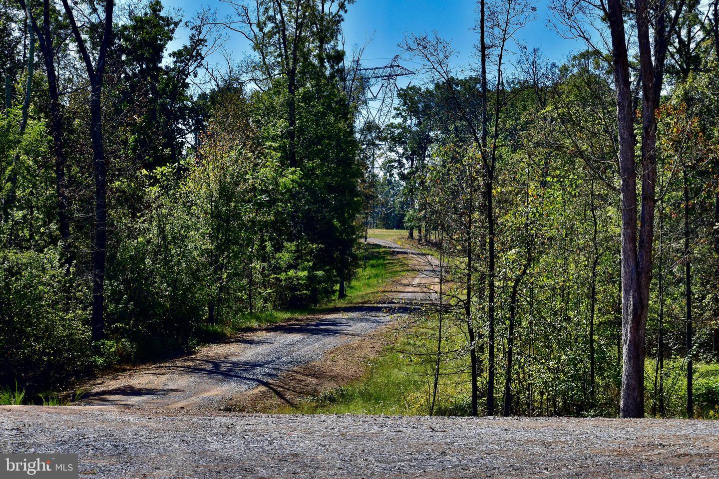 158.5 ACRES LOT 3 LAUREL GROVE RD., WINCHESTER, Virginia 22602, ,Farm,For sale,158.5 ACRES LOT 3 LAUREL GROVE RD.,VAFV2037192 MLS # VAFV2037192