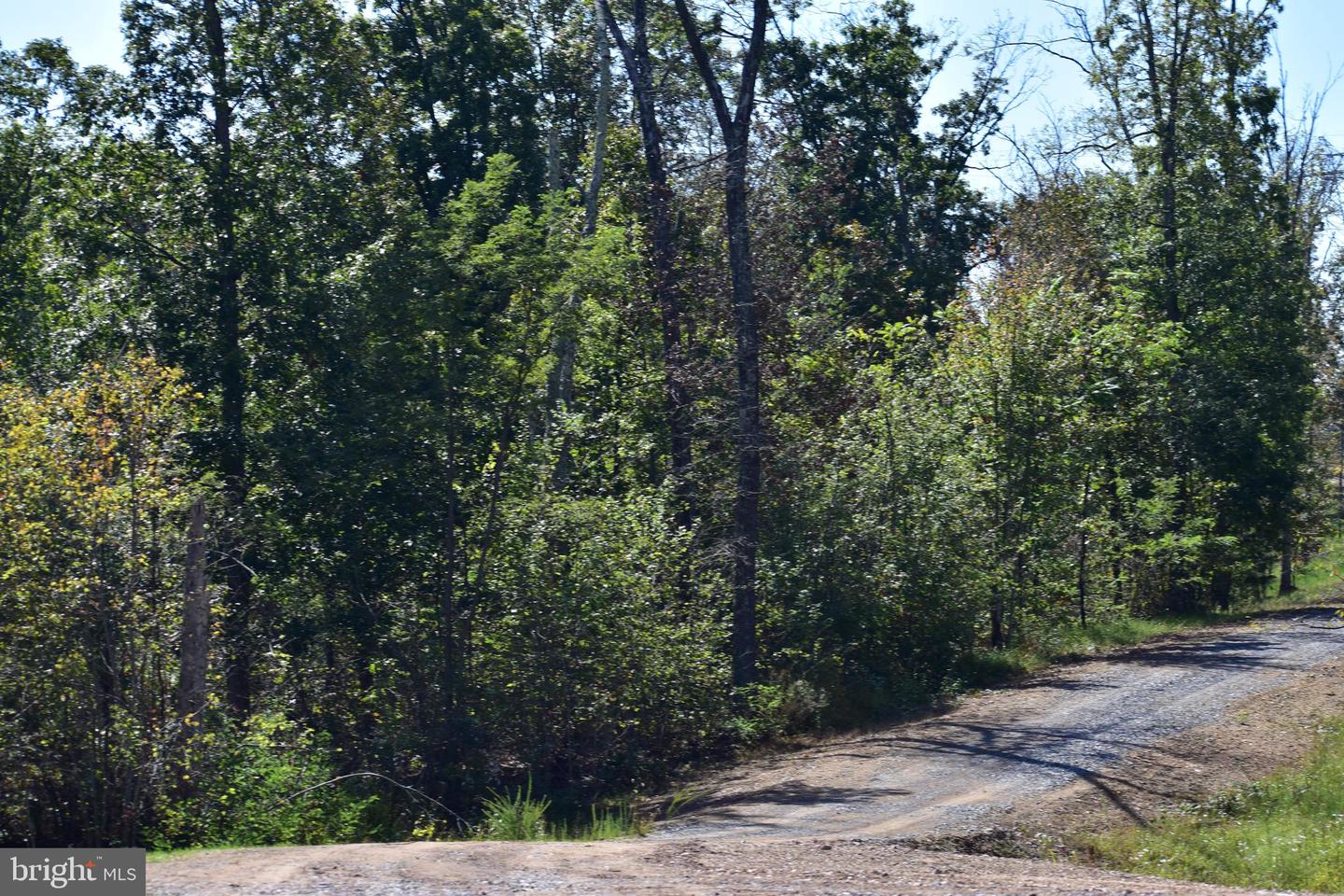 158.5 ACRES LOT 3 LAUREL GROVE RD., WINCHESTER, Virginia 22602, ,Farm,For sale,158.5 ACRES LOT 3 LAUREL GROVE RD.,VAFV2037192 MLS # VAFV2037192