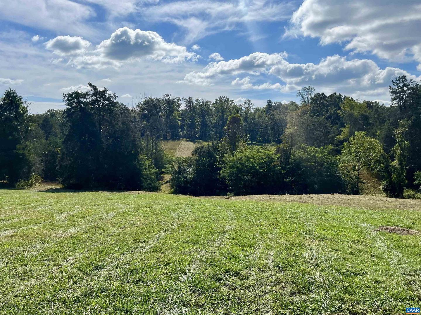 MIDWAY RD, CHARLOTTESVILLE, Virginia 22903, ,Farm,For sale,MIDWAY RD,669632 MLS # 669632