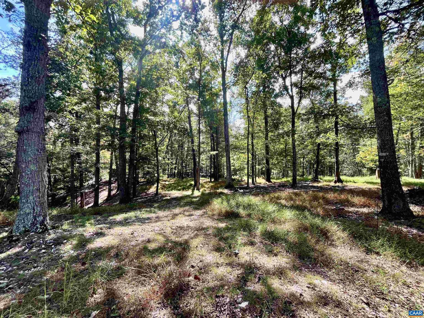 MIDWAY RD, CHARLOTTESVILLE, Virginia 22903, ,Farm,For sale,MIDWAY RD,669632 MLS # 669632