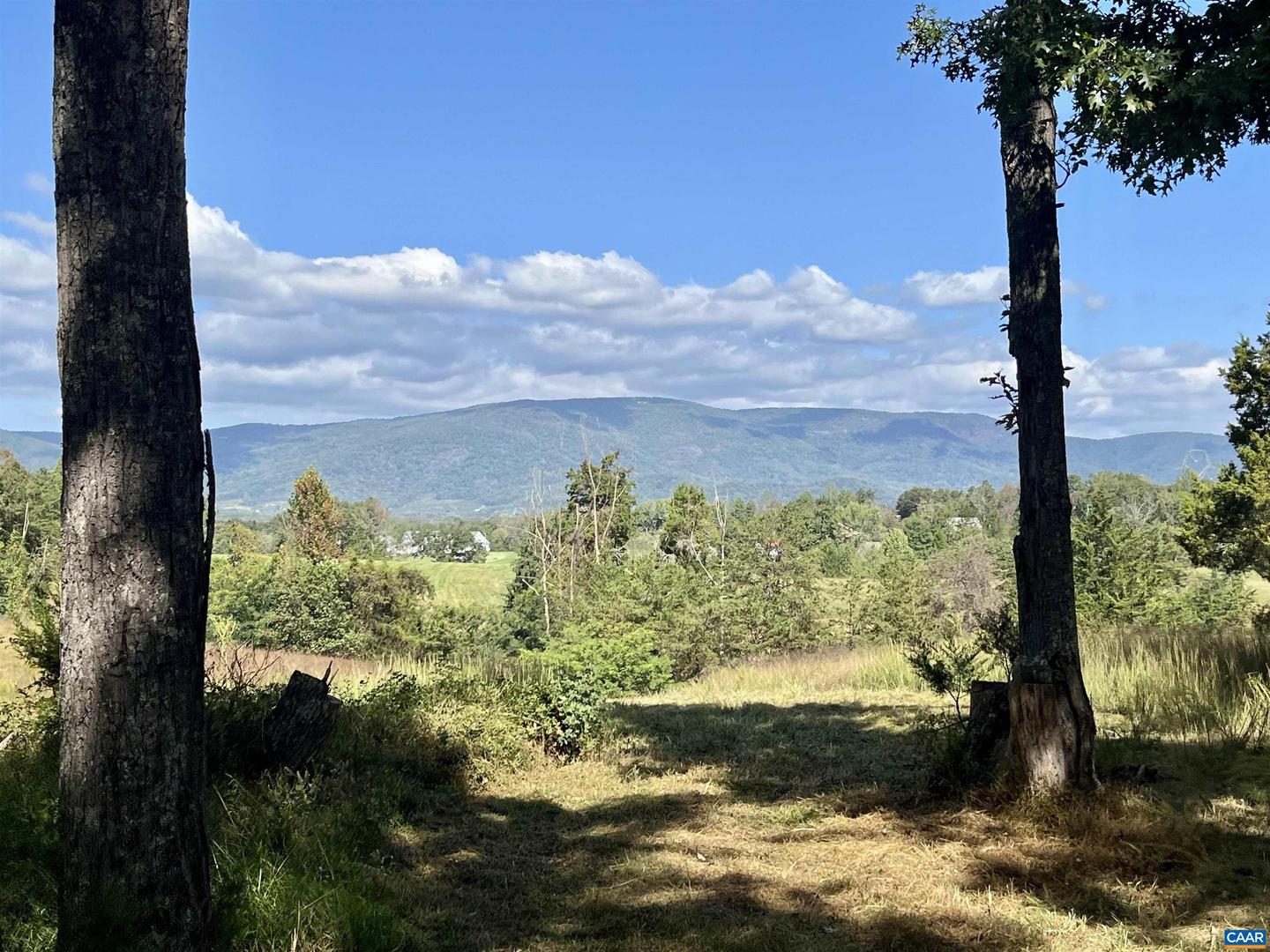 MIDWAY RD, CHARLOTTESVILLE, Virginia 22903, ,Farm,For sale,MIDWAY RD,669632 MLS # 669632