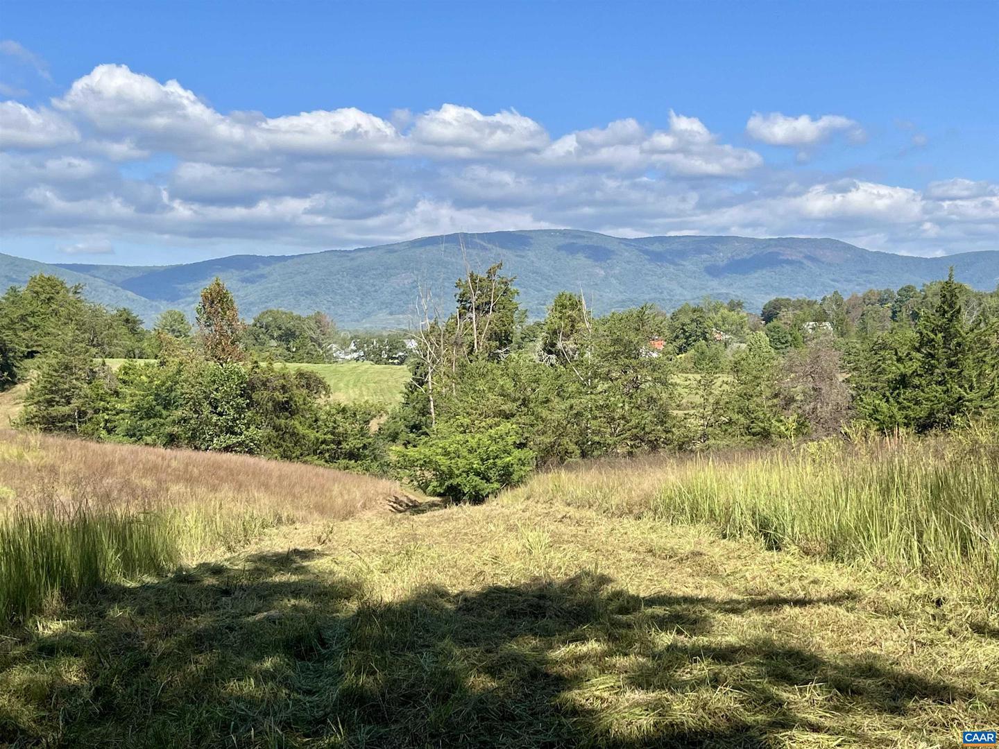 MIDWAY RD, CHARLOTTESVILLE, Virginia 22903, ,Farm,For sale,MIDWAY RD,669632 MLS # 669632