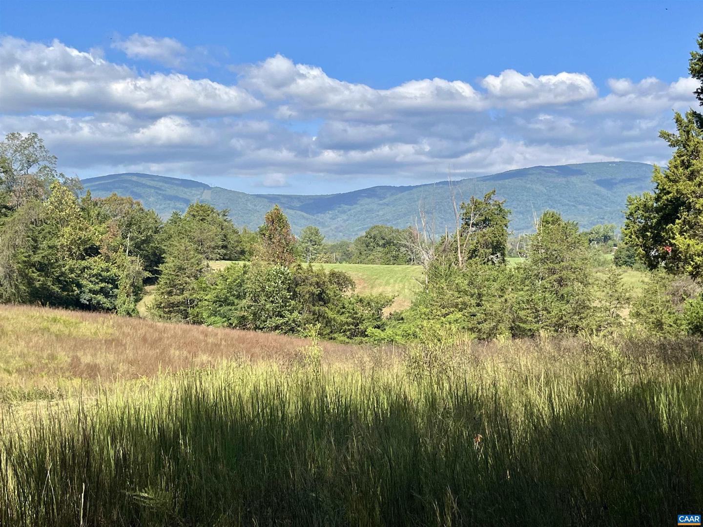 MIDWAY RD, CHARLOTTESVILLE, Virginia 22903, ,Farm,For sale,MIDWAY RD,669632 MLS # 669632
