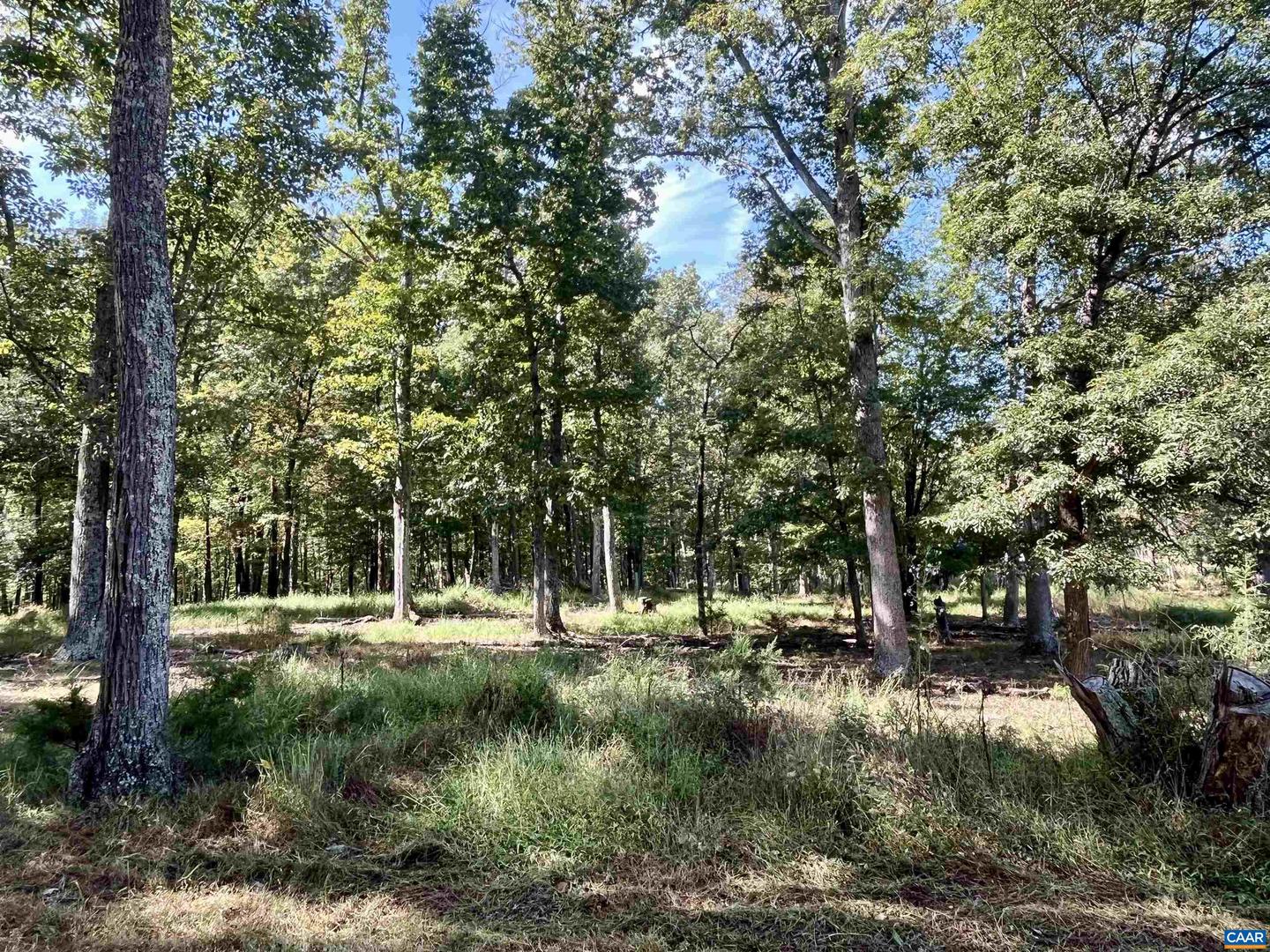MIDWAY RD, CHARLOTTESVILLE, Virginia 22903, ,Farm,For sale,MIDWAY RD,669632 MLS # 669632