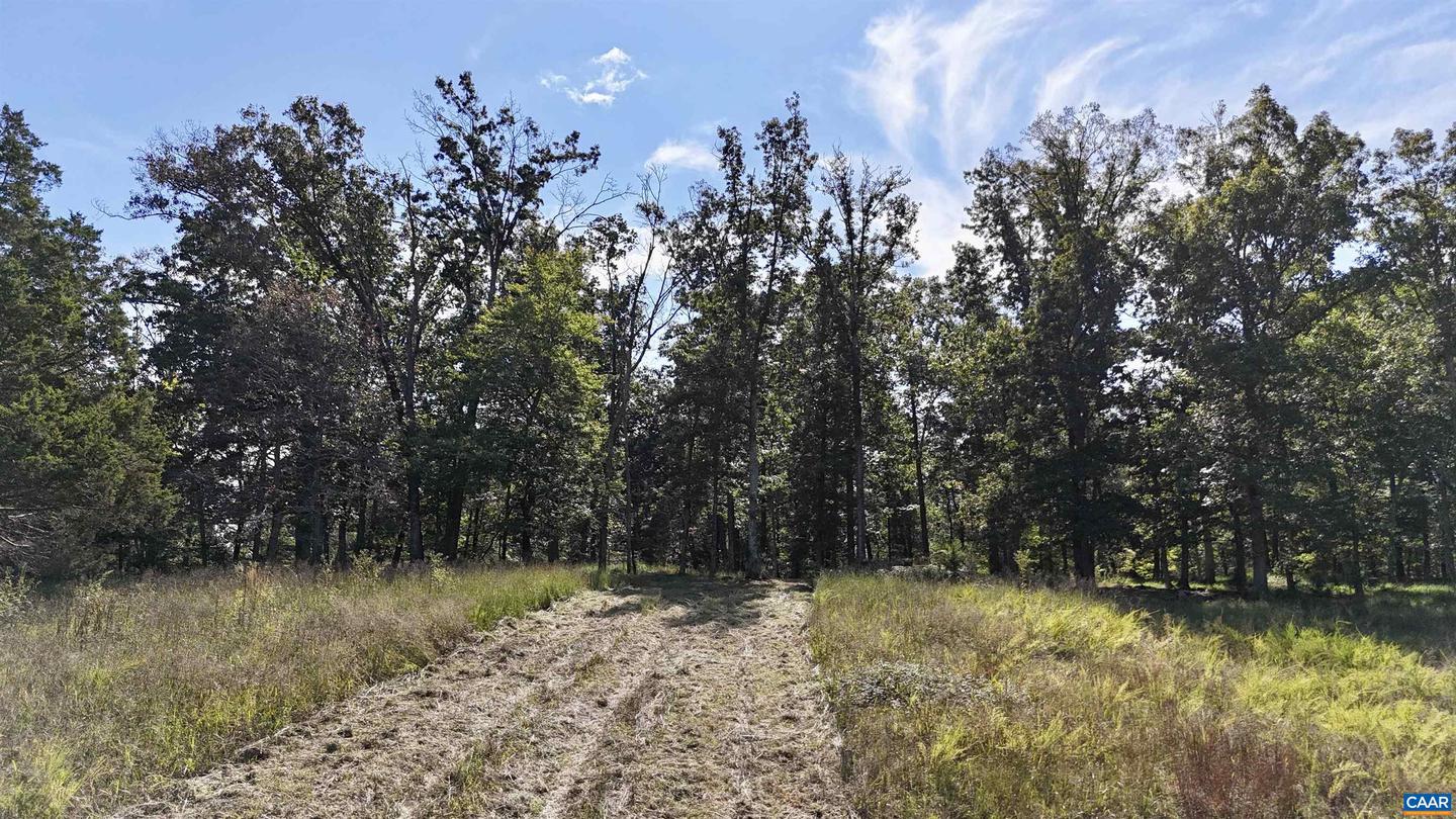 MIDWAY RD, CHARLOTTESVILLE, Virginia 22903, ,Farm,For sale,MIDWAY RD,669632 MLS # 669632