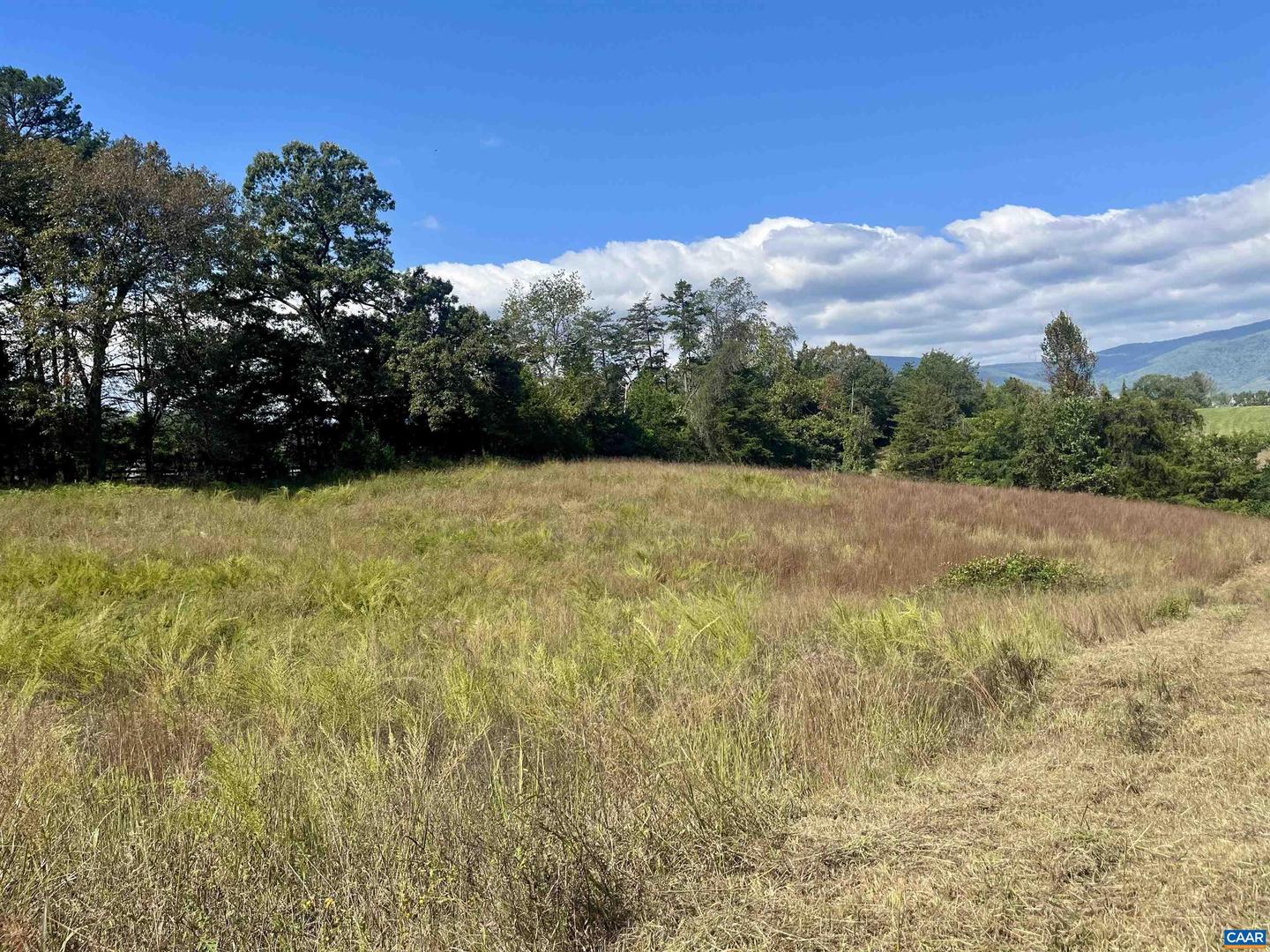 MIDWAY RD, CHARLOTTESVILLE, Virginia 22903, ,Farm,For sale,MIDWAY RD,669632 MLS # 669632