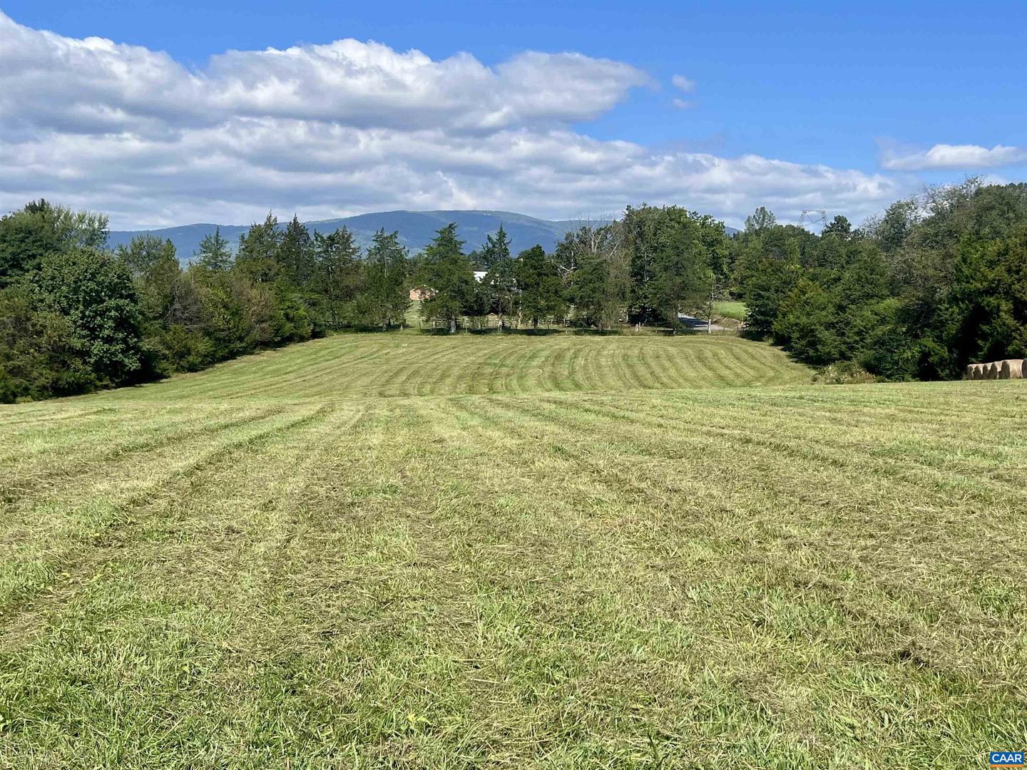 MIDWAY RD, CHARLOTTESVILLE, Virginia 22903, ,Farm,For sale,MIDWAY RD,669632 MLS # 669632
