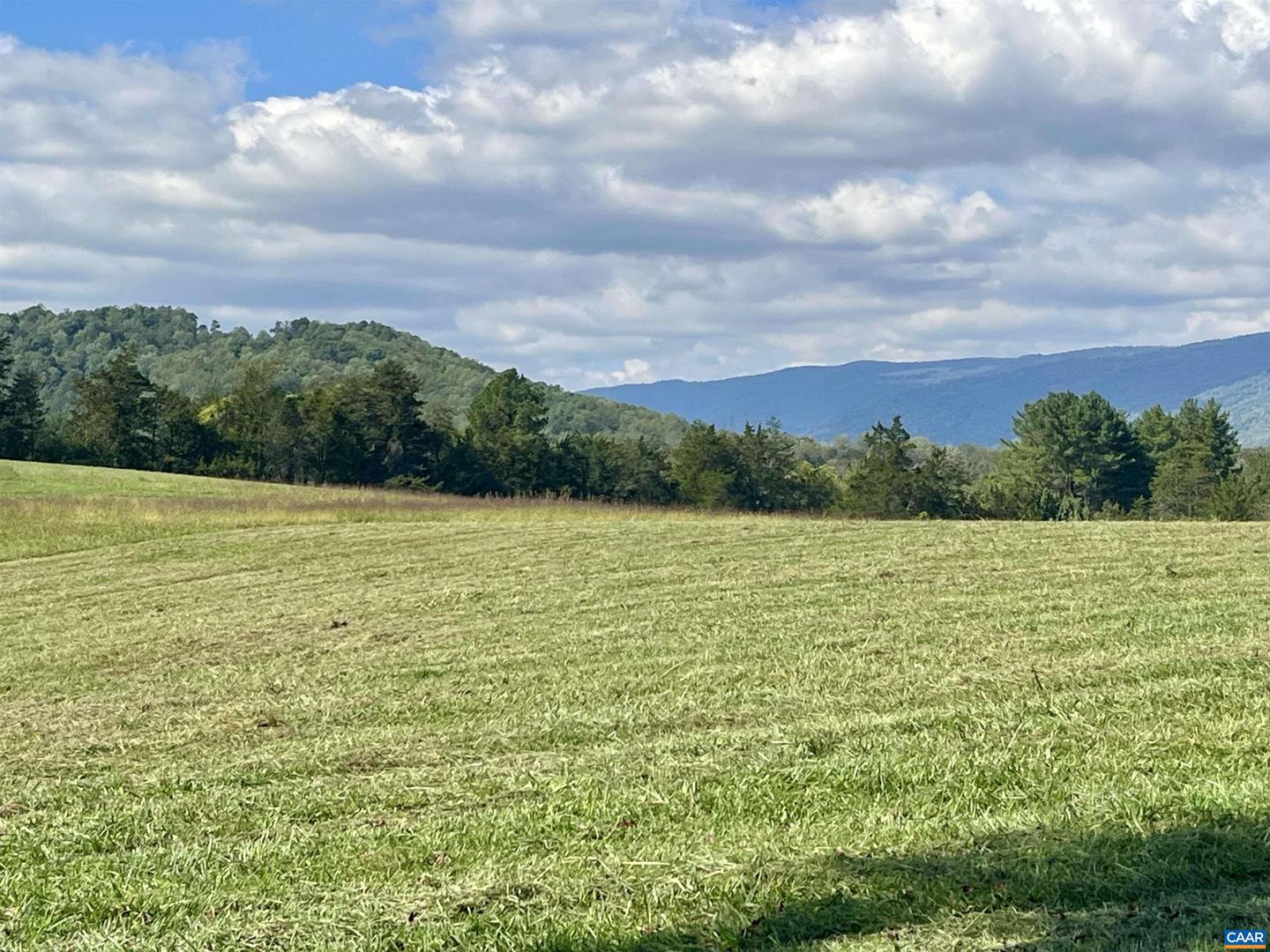 MIDWAY RD, CHARLOTTESVILLE, Virginia 22903, ,Farm,For sale,MIDWAY RD,669632 MLS # 669632