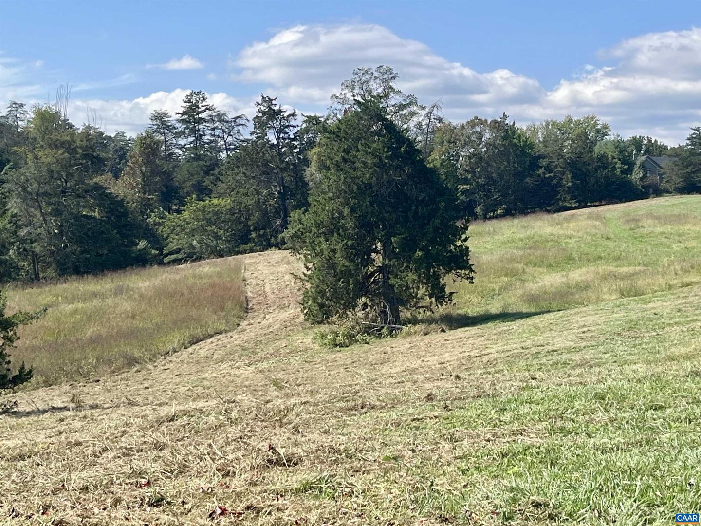 MIDWAY RD, CHARLOTTESVILLE, Virginia 22903, ,Farm,For sale,MIDWAY RD,669632 MLS # 669632