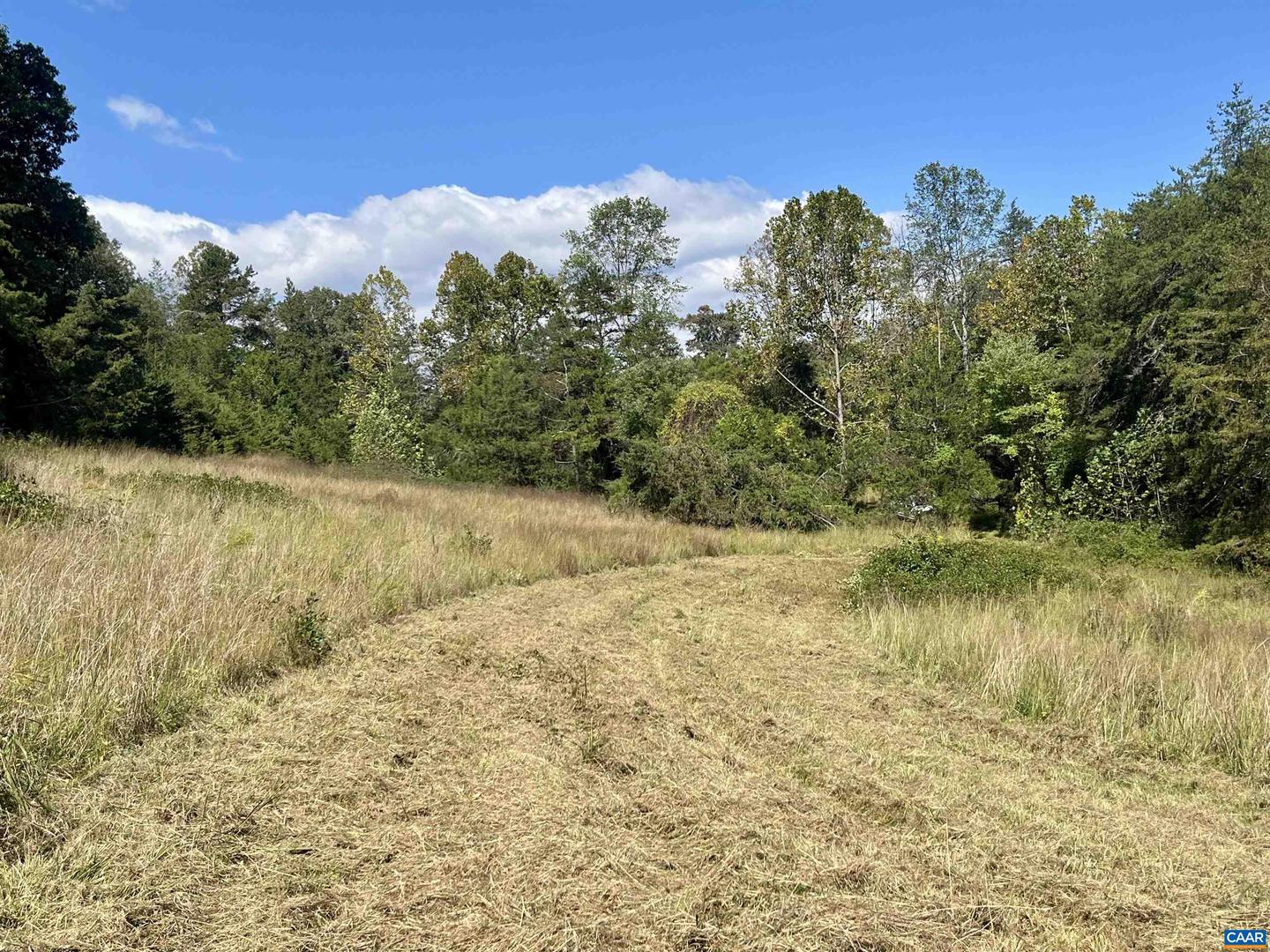 MIDWAY RD, CHARLOTTESVILLE, Virginia 22903, ,Farm,For sale,MIDWAY RD,669632 MLS # 669632