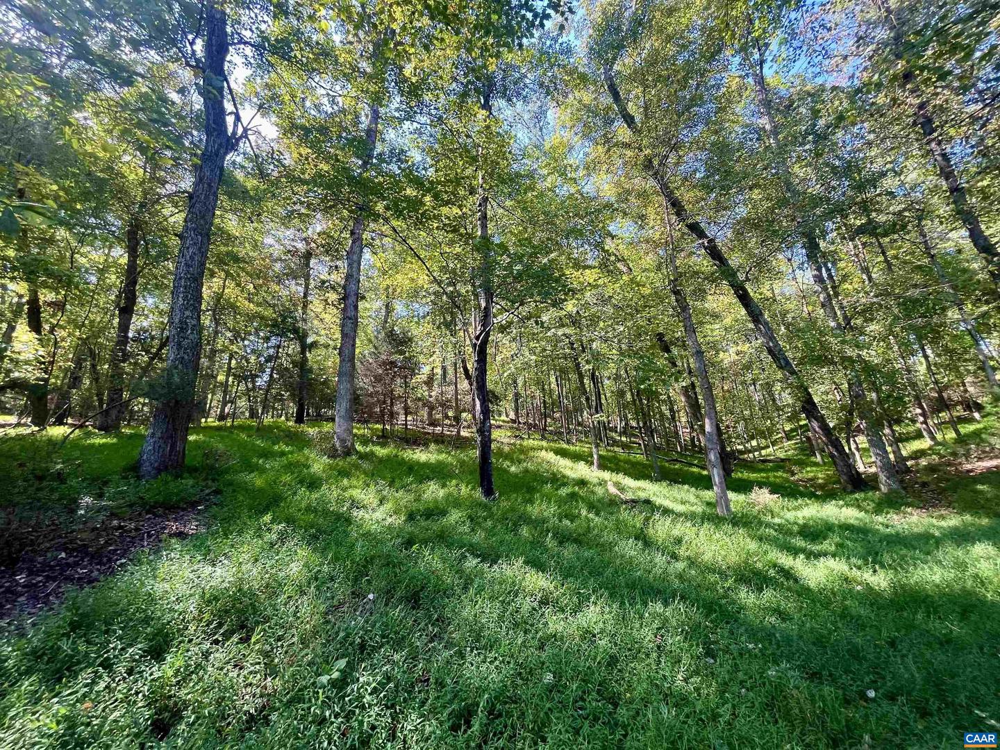 MIDWAY RD, CHARLOTTESVILLE, Virginia 22903, ,Farm,For sale,MIDWAY RD,669632 MLS # 669632