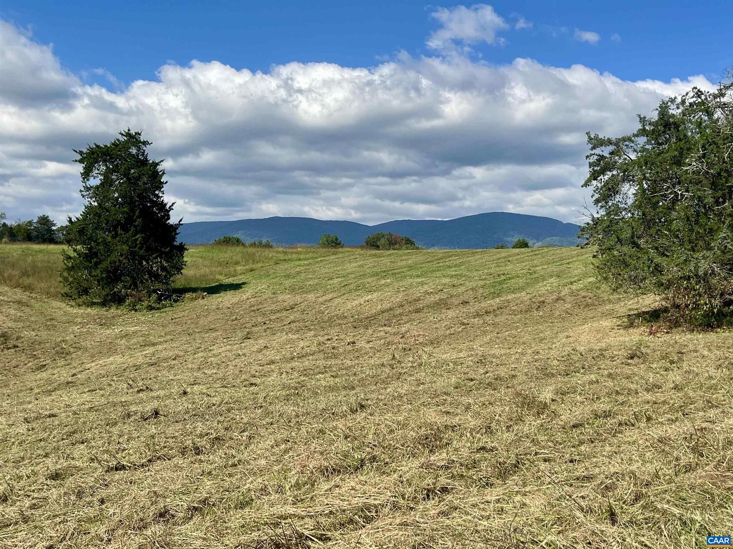 MIDWAY RD, CHARLOTTESVILLE, Virginia 22903, ,Farm,For sale,MIDWAY RD,669632 MLS # 669632