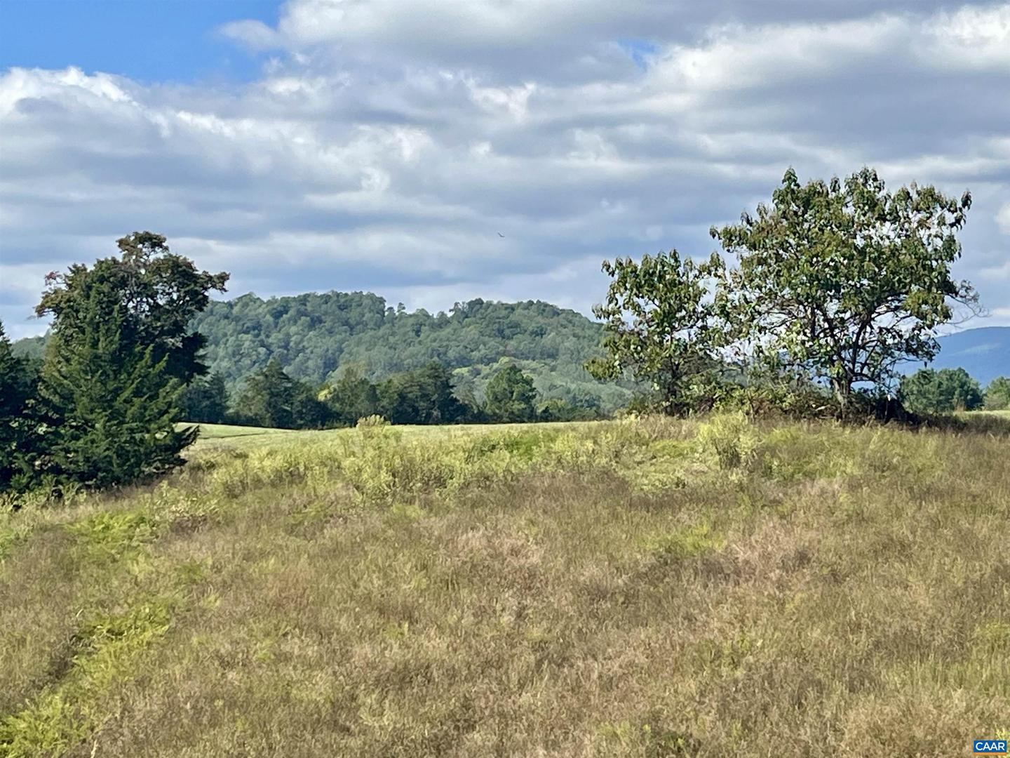 MIDWAY RD, CHARLOTTESVILLE, Virginia 22903, ,Farm,For sale,MIDWAY RD,669632 MLS # 669632