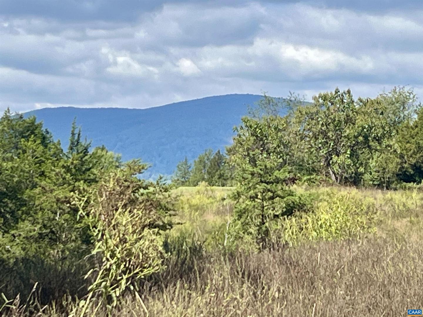 MIDWAY RD, CHARLOTTESVILLE, Virginia 22903, ,Farm,For sale,MIDWAY RD,669632 MLS # 669632