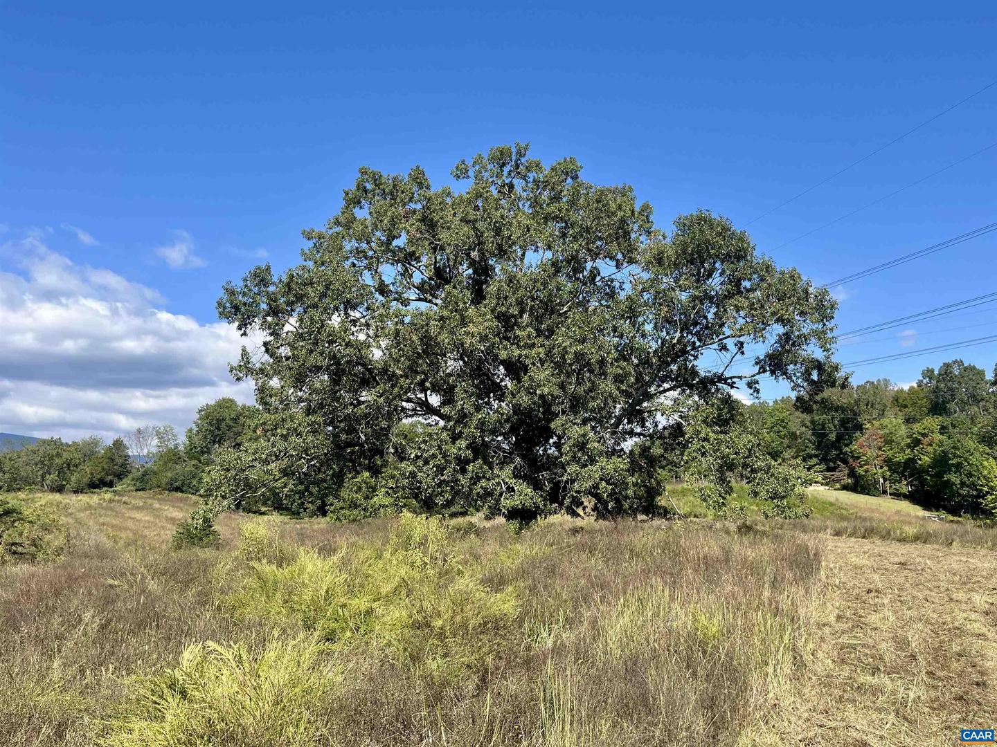 MIDWAY RD, CHARLOTTESVILLE, Virginia 22903, ,Farm,For sale,MIDWAY RD,669632 MLS # 669632